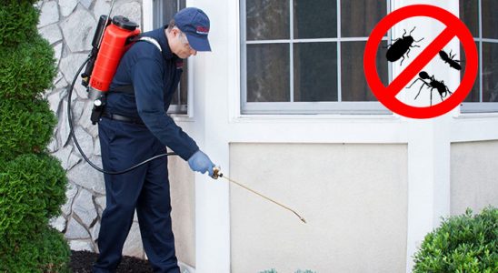 Bilecik Kene İlaçlama böcek ilaçlama ve haşere kontrolü — ilaclama-tr.com